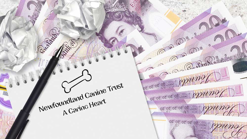 Newfoundland Canine Trust grants
