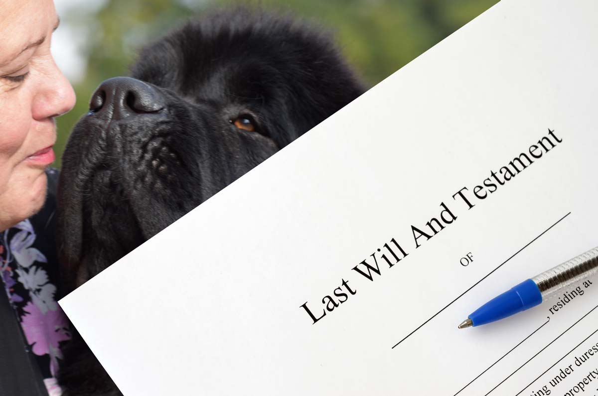 Newfoundland Canine Trust grants