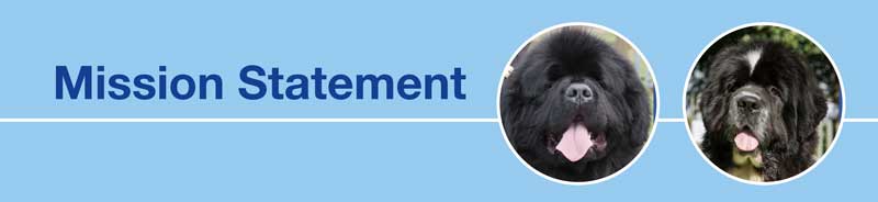 Mission Statement heading